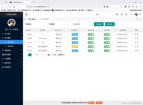 网络验证系统 功能、选择与信息安全软件开发指南